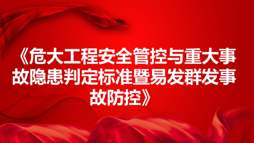 《危大工程安全管控与重大事故隐患判定标准暨易发群发事故防控》